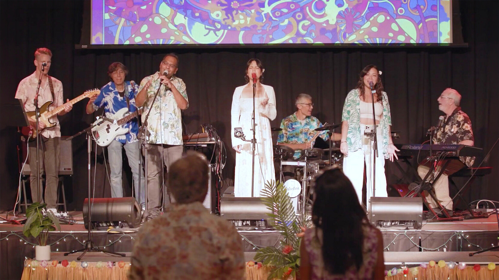 The Eclectics performing live at Bridges