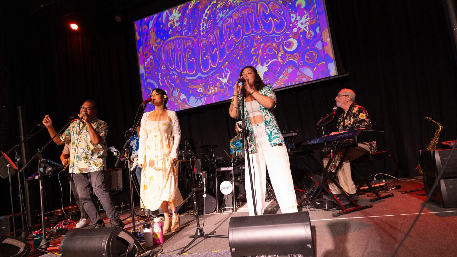 Wide stage view of The Eclectics at Bridges